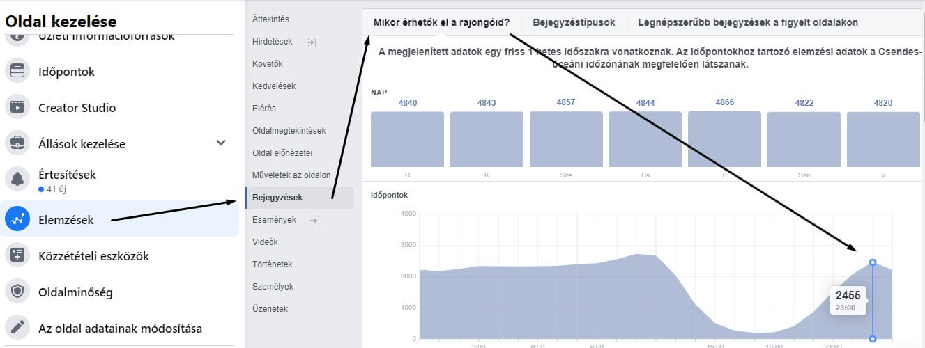 Facebook oldal közönség statisztika elemzése
